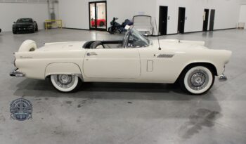 
										1956 Ford Thunderbird full									